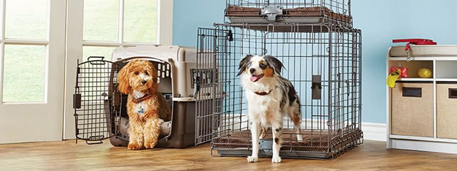 Crate-Training-Image-5